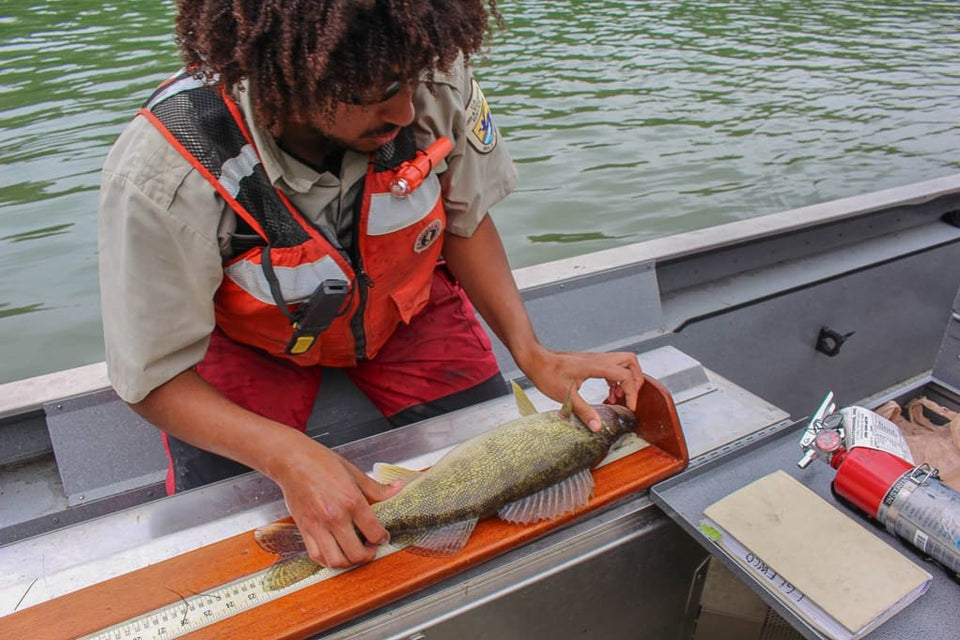 How Do I Know What Color Lures To Use When Walleye Fishing?